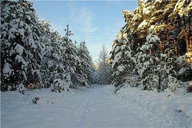 《完美音浪》续作有了 PUBG公司Krafton收购Tango Gameworks